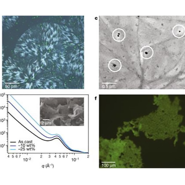 什么是可堆肥生物降解塑料？